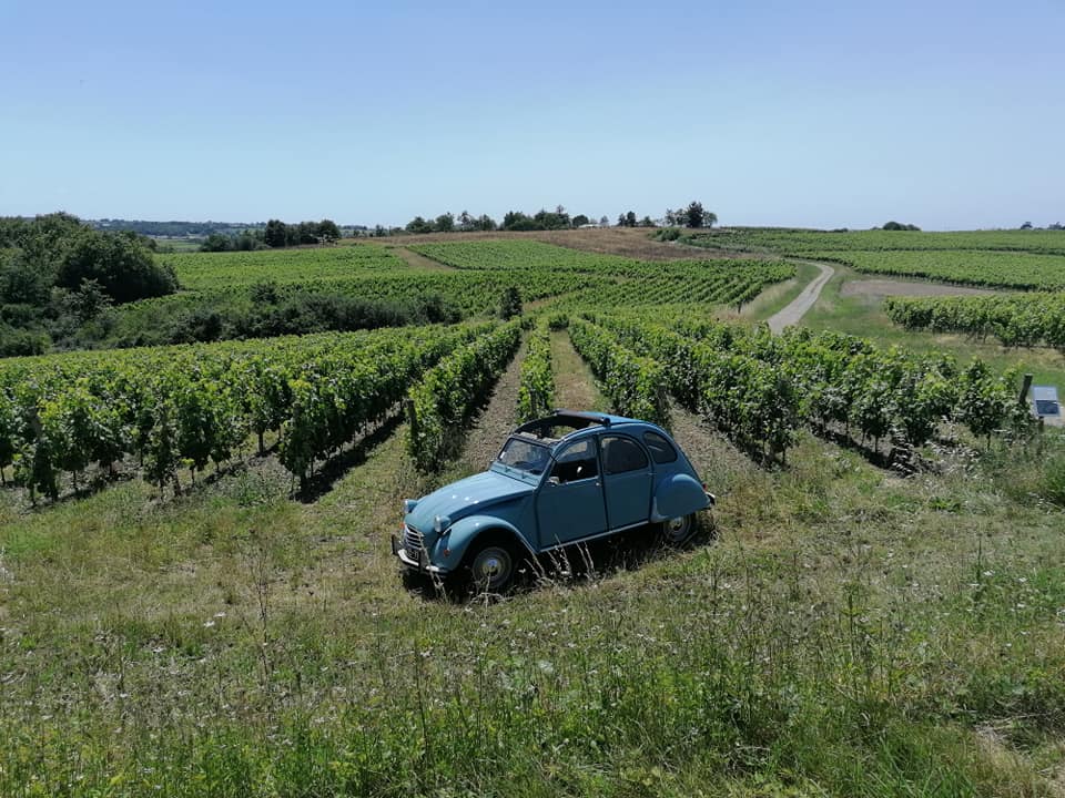 Anjou 2cv club